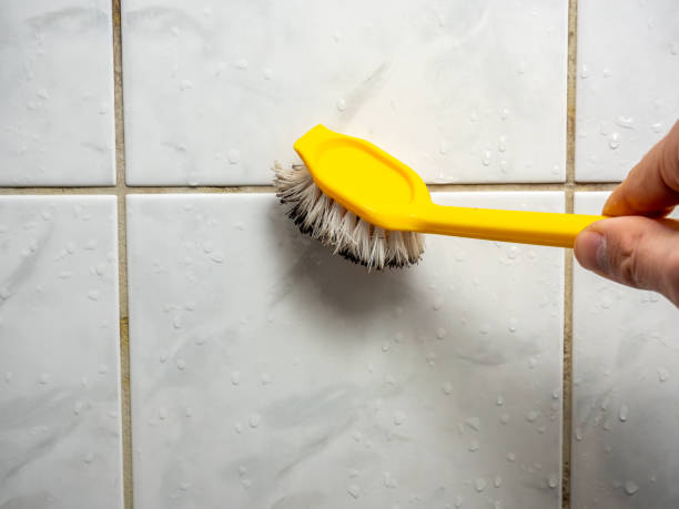 Best Black Mold Removal  in Carnesville, GA