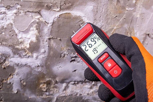 Best Mold Testing  in Carnesville, GA