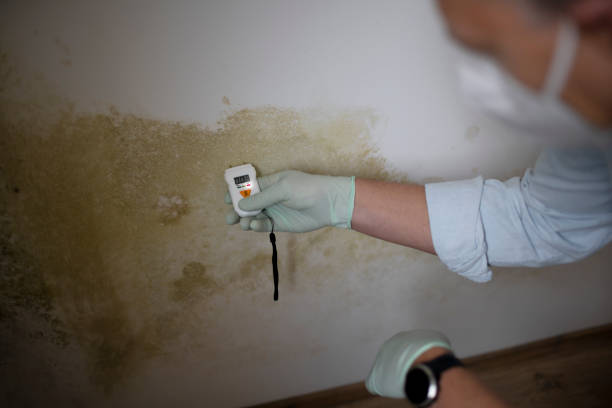 Best Mold Testing  in Carnesville, GA